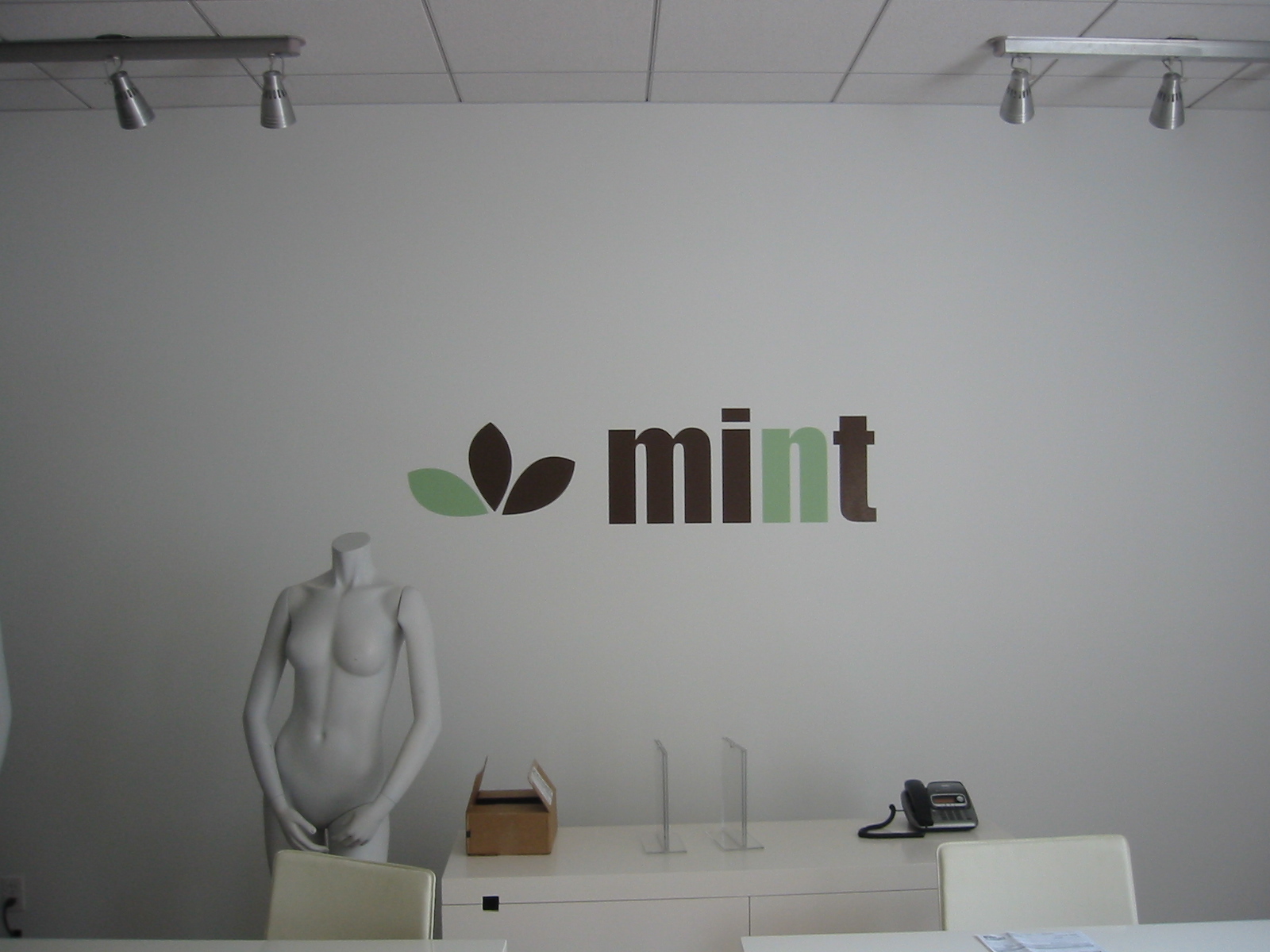 Vinyl wall graphics for Mint
